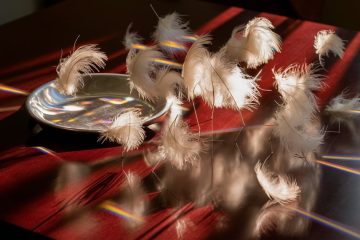 illuminating gambling liberty power